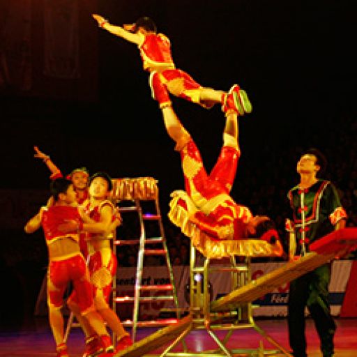 Dalian Acrobats