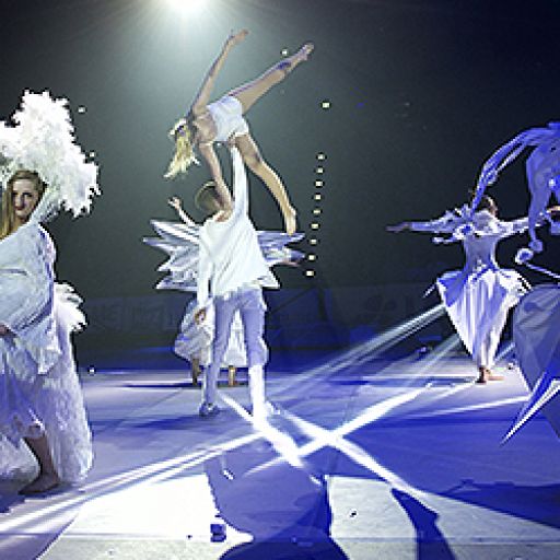 Feuerwerk der Turnkunst Showteam