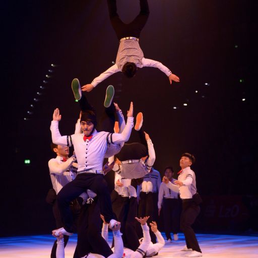 Tianjin Troupe